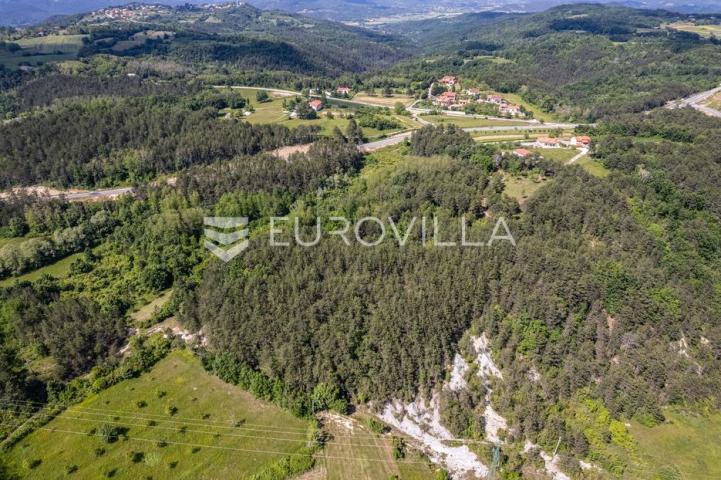 Istra, Grašćišće, jedinstveno građevinsko zemljište 2000 m² okruženo stoljetnom šumom 36789 m²