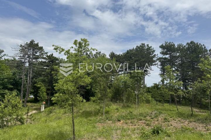 Istra, Grašćišće, jedinstveno građevinsko zemljište 2000 m² okruženo stoljetnom šumom 36789 m²