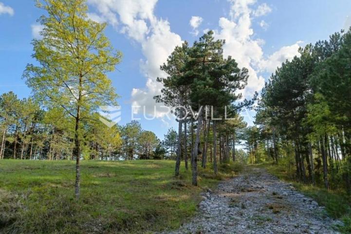 Istra, Grašćišće, jedinstveno građevinsko zemljište 2000 m² okruženo stoljetnom šumom 36789 m²