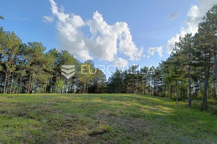 Istra, Grašćišće, jedinstveno građevinsko zemljište 2000 m² okruženo stoljetnom šumom 36789 m²
