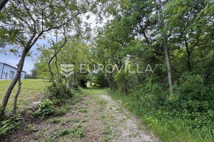 Istra, Grašćišće, jedinstveno građevinsko zemljište 2000 m² okruženo stoljetnom šumom 36789 m²