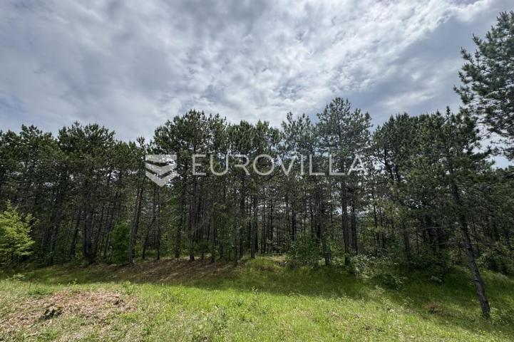 Istra, Grašćišće, jedinstveno građevinsko zemljište 2000 m² okruženo stoljetnom šumom 36789 m²