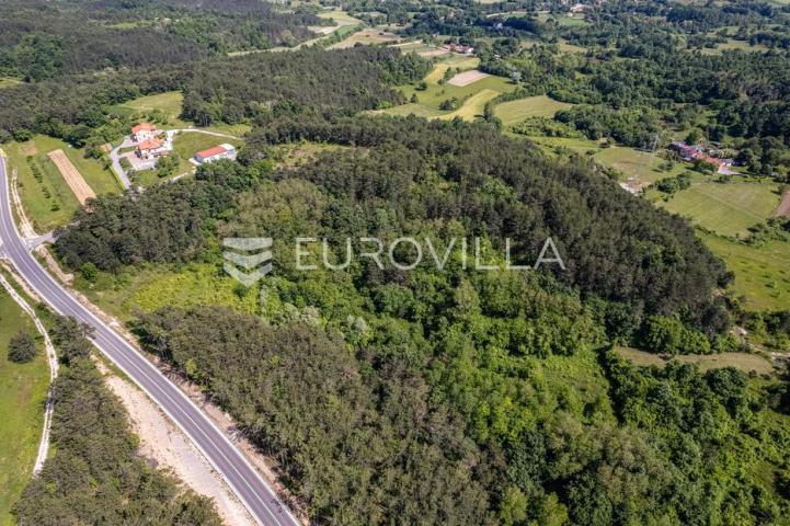 Istra, Grašćišće, jedinstveno građevinsko zemljište 2000 m² okruženo stoljetnom šumom 36789 m²