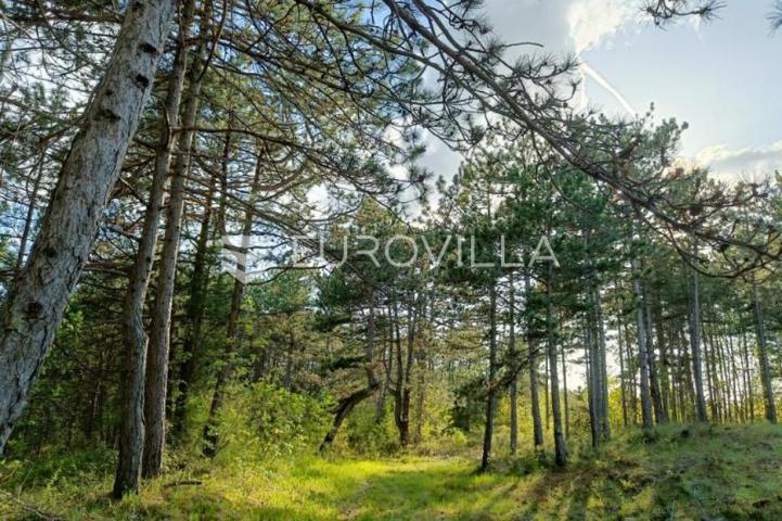 Istra, Grašćišće, jedinstveno građevinsko zemljište 2000 m² okruženo stoljetnom šumom 36789 m²
