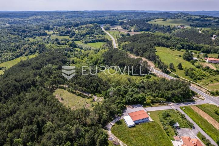 Istra, Grašćišće, jedinstveno građevinsko zemljište 2000 m² okruženo stoljetnom šumom 36789 m²