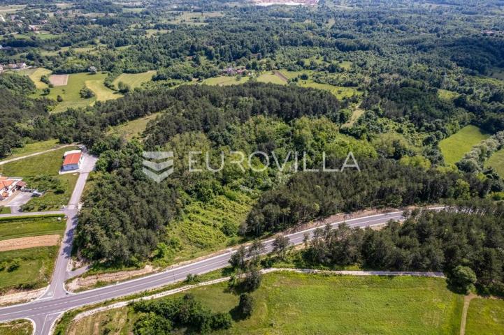Istra, Grašćišće, jedinstveno građevinsko zemljište 2000 m² okruženo stoljetnom šumom 36789 m²