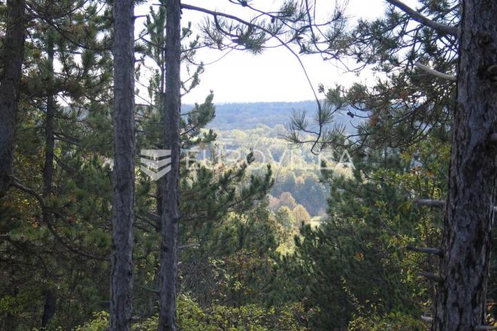 Istra, Grašćišće, jedinstveno građevinsko zemljište 2000 m² okruženo stoljetnom šumom 36789 m²