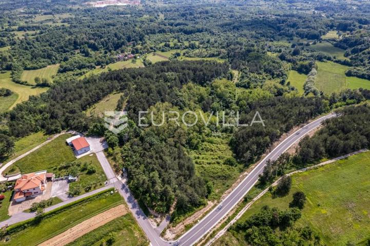 Istra, Grašćišće, jedinstveno građevinsko zemljište 2000 m² okruženo stoljetnom šumom 36789 m²