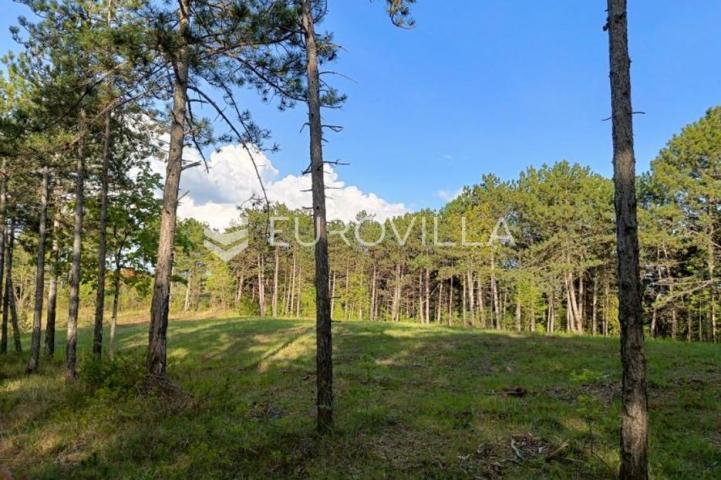 Istra, Grašćišće, jedinstveno građevinsko zemljište 2000 m² okruženo stoljetnom šumom 36789 m²