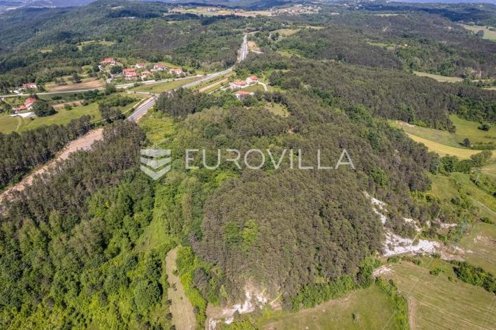 Istra, Grašćišće, jedinstveno građevinsko zemljište 2000 m² okruženo stoljetnom šumom 36789 m²