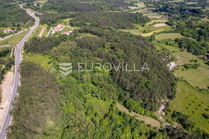 Istra, Grašćišće, jedinstveno građevinsko zemljište 2000 m² okruženo stoljetnom šumom 36789 m²