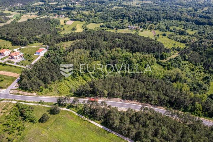 Istra, Grašćišće, jedinstveno građevinsko zemljište 2000 m² okruženo stoljetnom šumom 36789 m²
