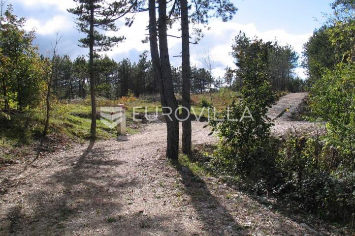 Istra, Grašćišće, jedinstveno građevinsko zemljište 2000 m² okruženo stoljetnom šumom 36789 m²