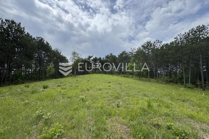 Istra, Grašćišće, jedinstveno građevinsko zemljište 2000 m² okruženo stoljetnom šumom 36789 m²