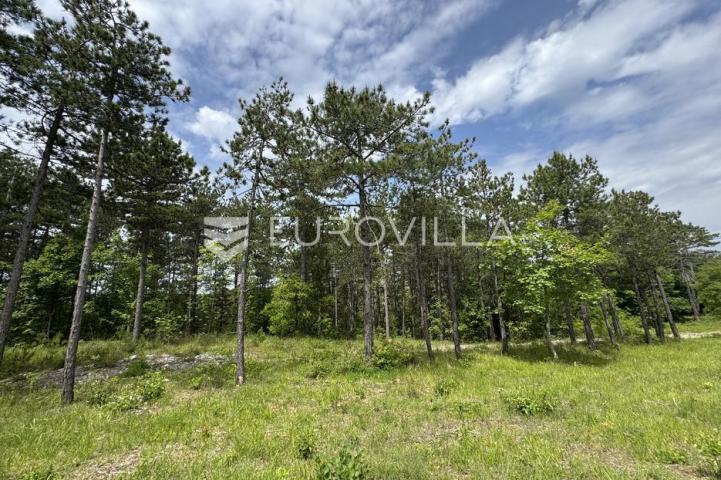 Istra, Grašćišće, jedinstveno građevinsko zemljište 2000 m² okruženo stoljetnom šumom 36789 m²