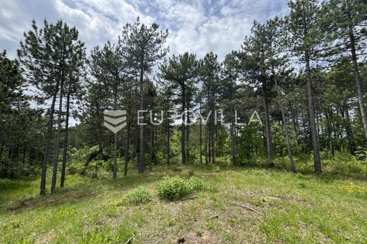 Istra, Grašćišće, jedinstveno građevinsko zemljište 2000 m² okruženo stoljetnom šumom 36789 m²