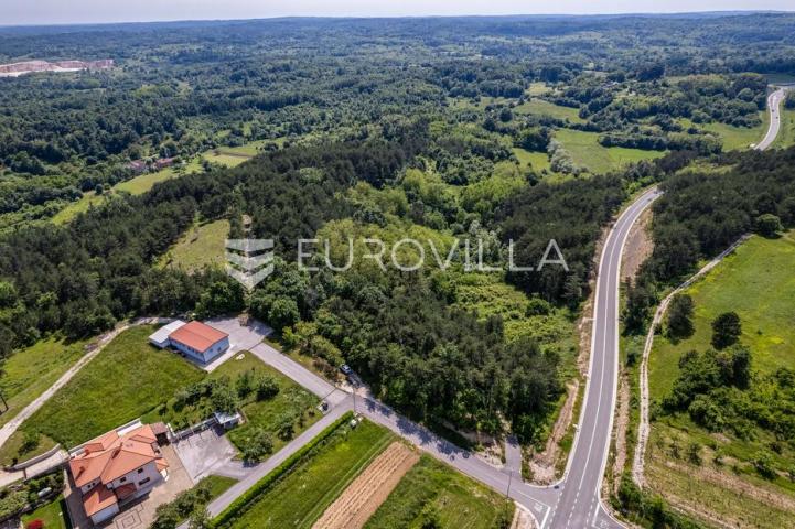 Istra, Grašćišće, jedinstveno građevinsko zemljište 2000 m² okruženo stoljetnom šumom 36789 m²