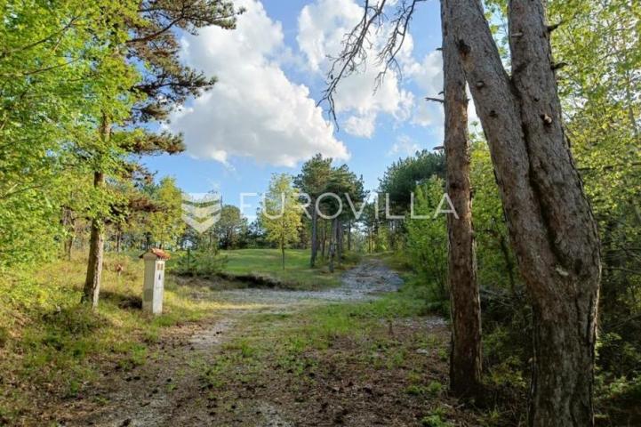 Istra, Grašćišće, jedinstveno građevinsko zemljište 2000 m² okruženo stoljetnom šumom 36789 m²
