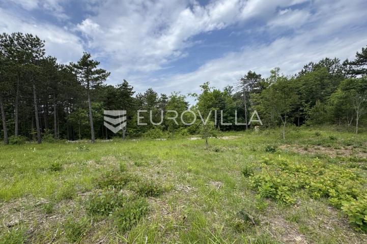 Istra, Grašćišće, jedinstveno građevinsko zemljište 2000 m² okruženo stoljetnom šumom 36789 m²