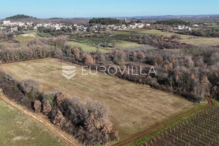 Istra, Poreč, poljoprivredno zemljište 14.824 m²