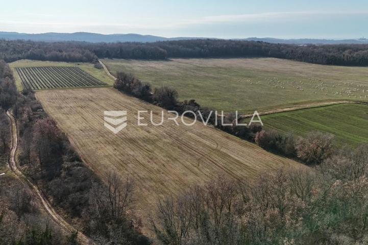 Istra, Poreč, poljoprivredno zemljište 14.824 m²