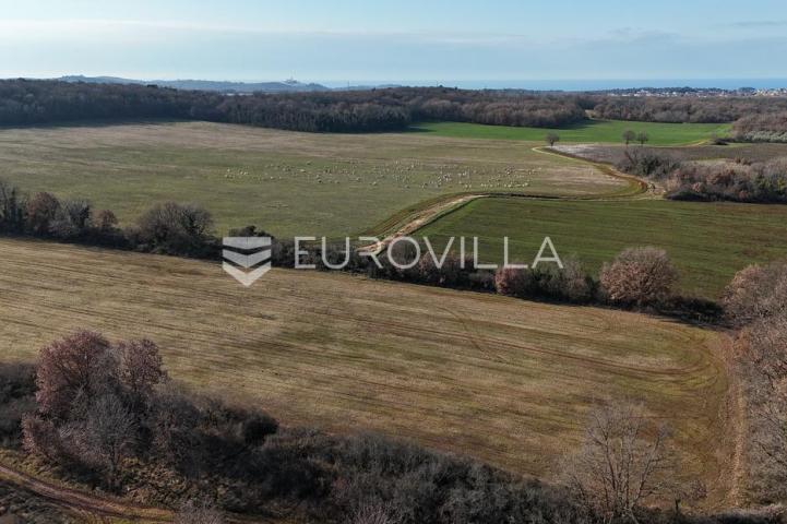 Istra, Poreč, poljoprivredno zemljište 14.824 m²