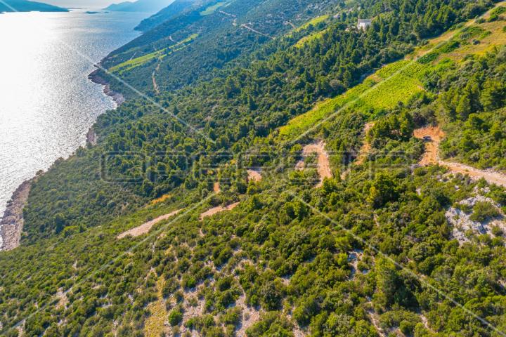 Zemljište, poljoprivredni potencijal u Potomju, 34.923 m2, Pelješac