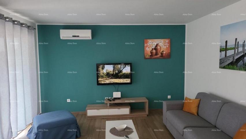 Kuća Raša – Vila s privatnim bazenom i vrtom