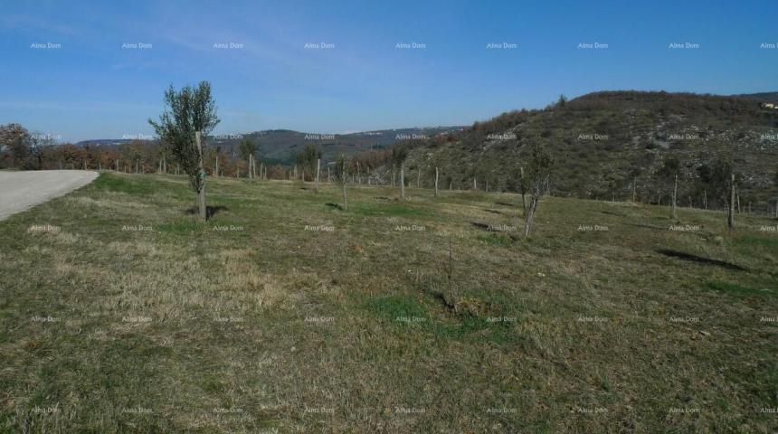 Građevinsko zemljište Momjan – prodaja građevinskog zemljišta na odličnoj lokaciji. 