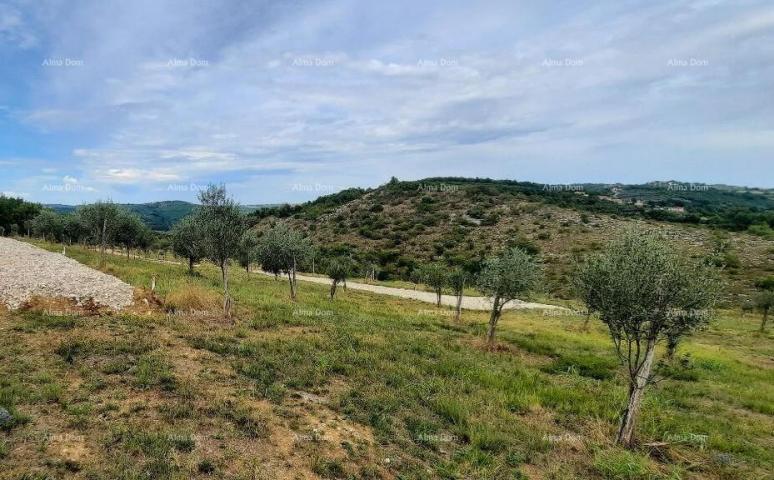 Građevinsko zemljište Momjan – prodaja građevinskog zemljišta na odličnoj lokaciji. 