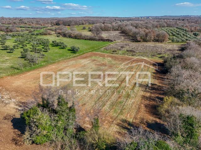 
Tar – zemljište za izgradnju hotela, doma za starije ili zdravstvenog centra 