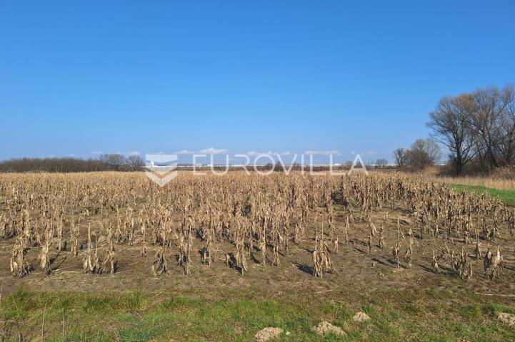 Karlovac, Drežnik, poljoprivredno zemljište 14200 m²