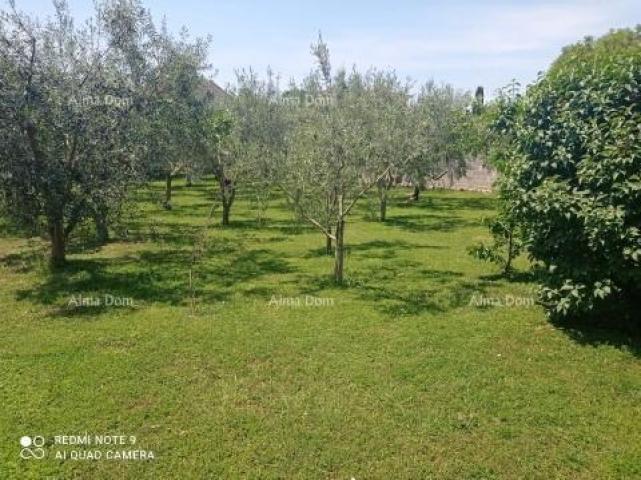 House House for sale, Medulin