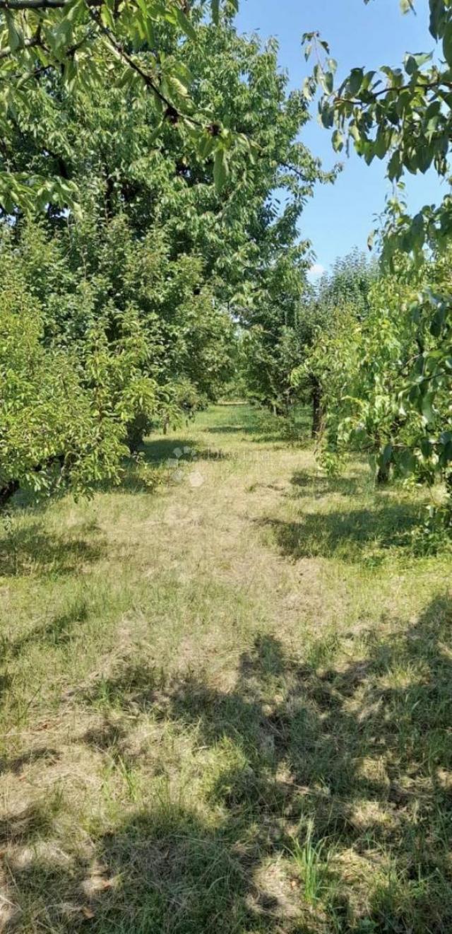 NAŠICE - Kuća uz glavnu cestu sa okućnicom! 279m2
