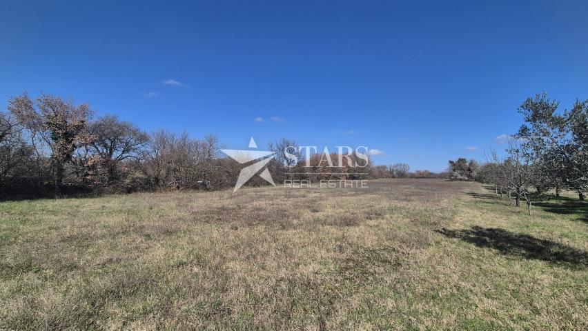 Istarska županija, Ližnjan - Muntić - građevinsko-poljoprivredni teren 5350 m2 