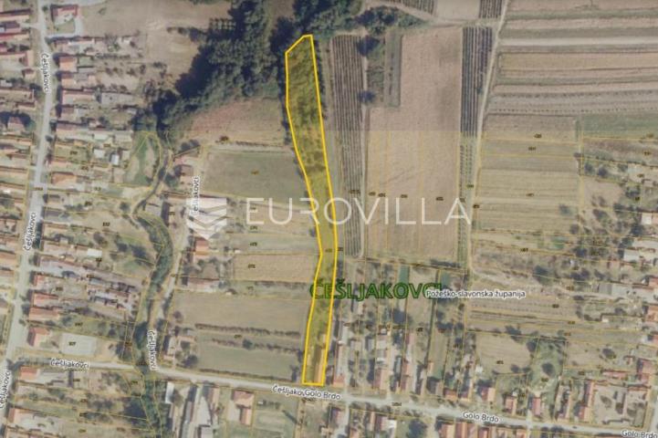 Kaptol, Golo Brdo, građevinsko zemljište 6824 m²