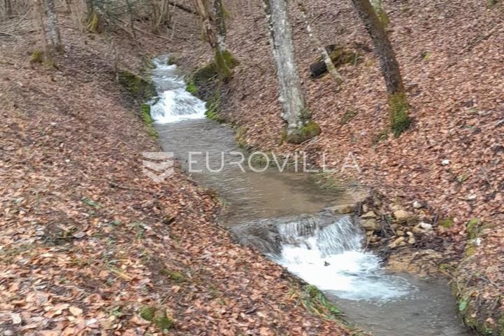G. Kotar, Vrbovsko, potpuni bijeg u prirodu, kućica, potok i 1,5 hektar mira