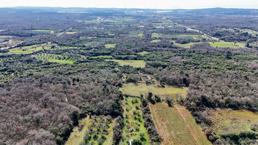 Agricultural land GALIŽANA - Large agricultural land for sale – 20,498 m², excellent location