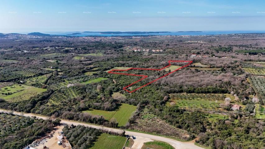 Agricultural land GALIŽANA - Large agricultural land for sale – 20,498 m², excellent location