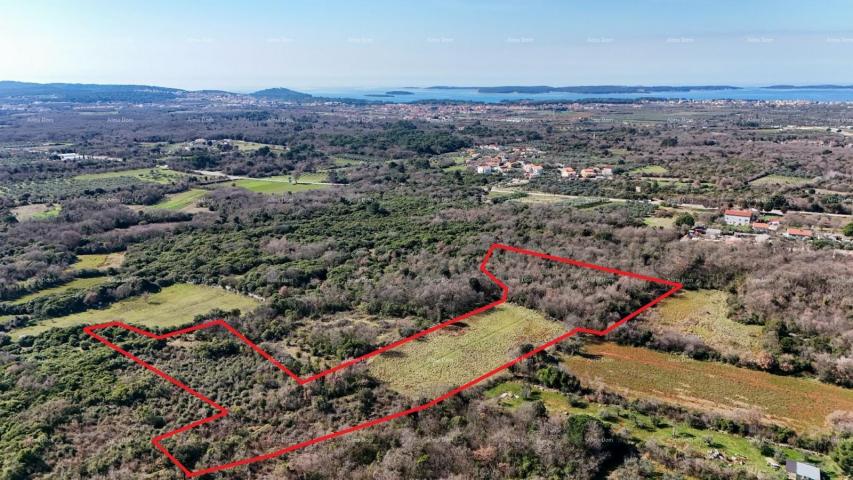 Agricultural land GALIŽANA - Large agricultural land for sale – 20,498 m², excellent location
