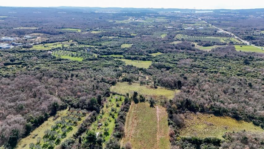 Agricultural land GALIŽANA - Large agricultural land for sale – 20,498 m², excellent location