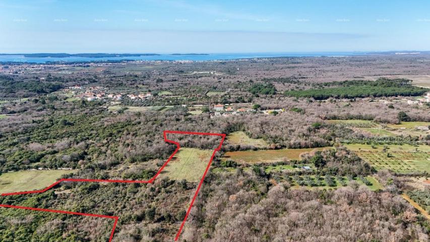Agricultural land GALIŽANA - Large agricultural land for sale – 20,498 m², excellent location