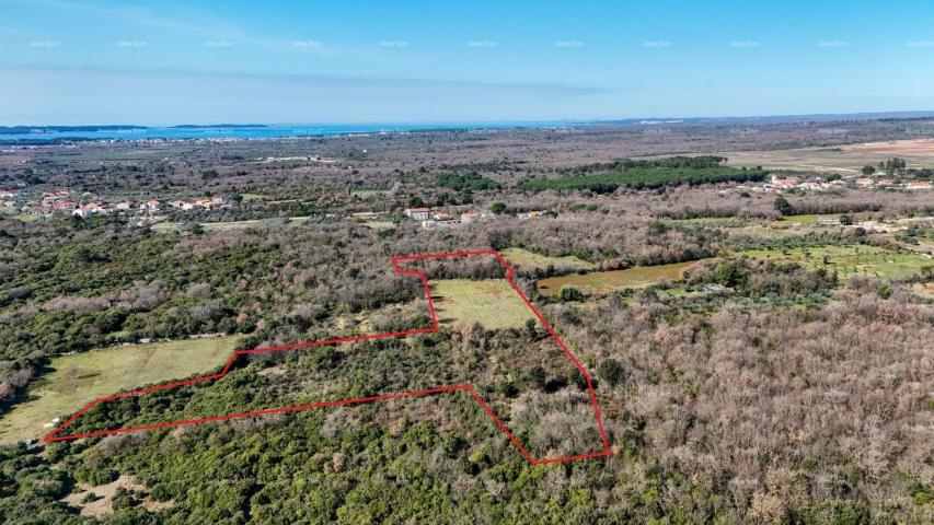 Agricultural land GALIŽANA - Large agricultural land for sale – 20,498 m², excellent location