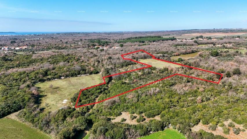 Agricultural land GALIŽANA - Large agricultural land for sale – 20,498 m², excellent location