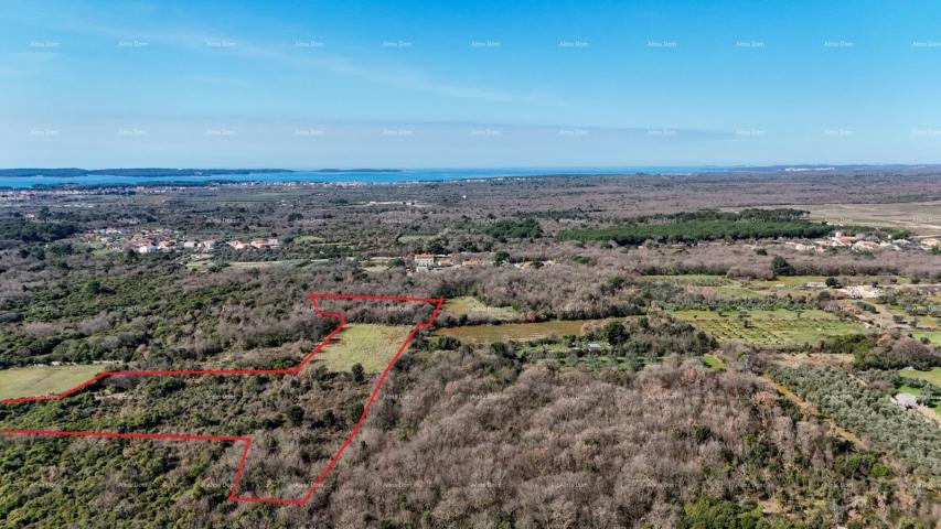 Agricultural land GALIŽANA - Large agricultural land for sale – 20,498 m², excellent location