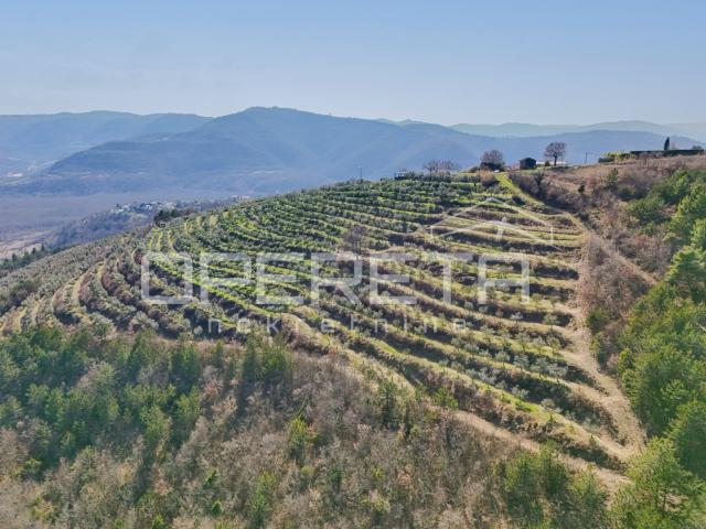 Veliko imanje od 170 000 m2 s predivnim pogledom