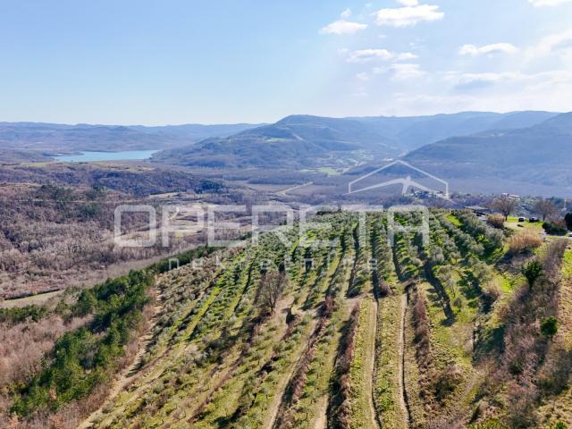 Veliko imanje od 170 000 m2 s predivnim pogledom
