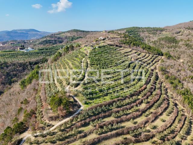 Veliko imanje od 170 000 m2 s predivnim pogledom