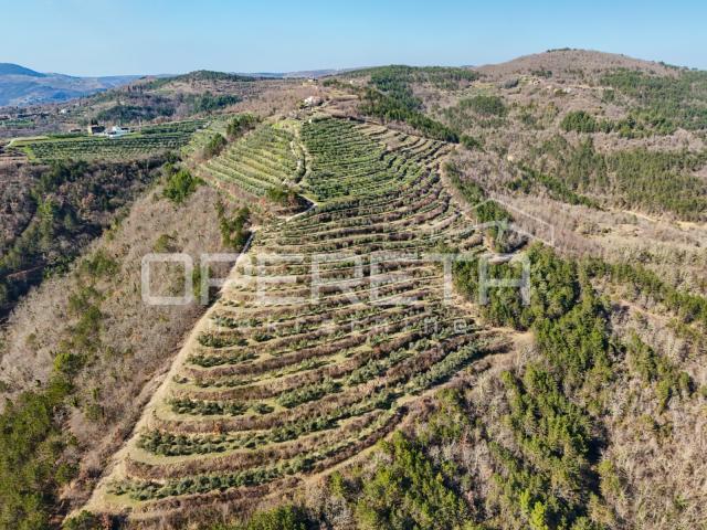 Veliko imanje od 170 000 m2 s predivnim pogledom