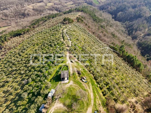 Veliko imanje od 170 000 m2 s predivnim pogledom